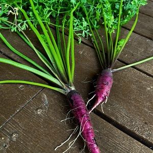 My first carrots!